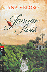 Januarfluss